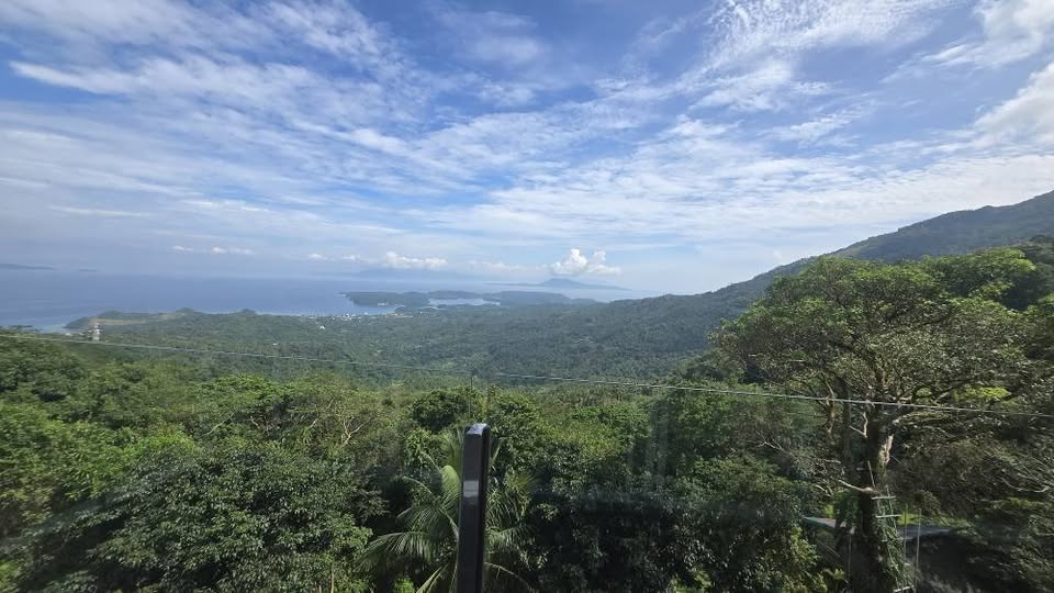View from the living room balcony